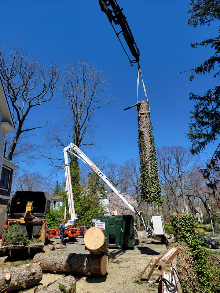 Emergency Tree Service in Mahopac, NY | 24/7 Tree Removal